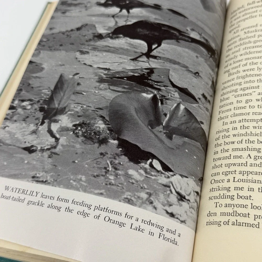 North with the Spring Edwin Way Teale 1951 2nd Printing Nature Photography Dodd